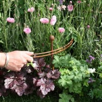 Växtstöd Circular 60x30 cm, rost